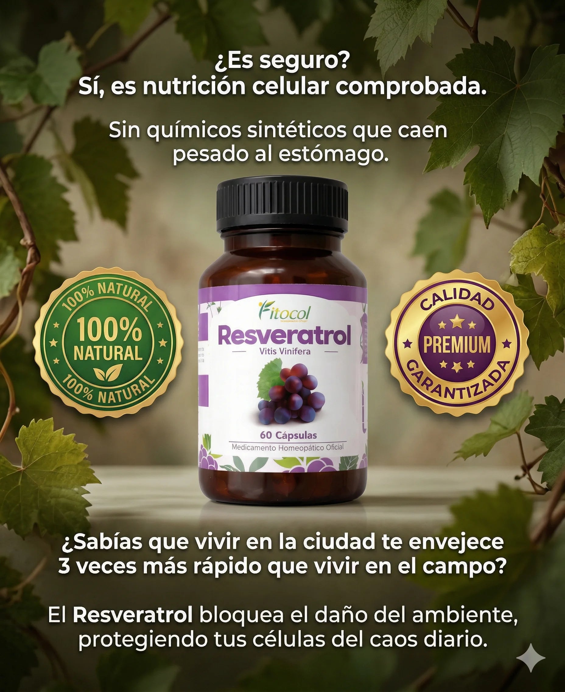 Frena el desgaste celular |  RESVERATROL